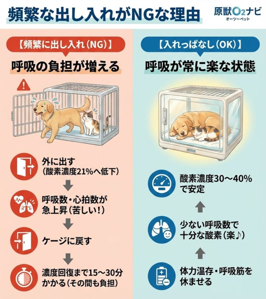 ペット（犬猫）を酸素室に入れっぱなしで大丈夫？安全な条件と注意点 