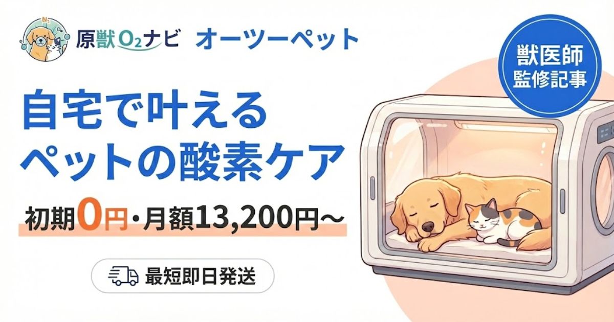 キャンペーン中】オーツーペットの口コミ！酸素濃度を検証した結果を