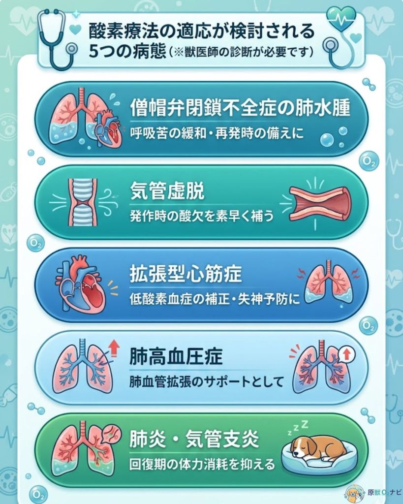 犬の酸素室が適応となる5つの病態を図解。僧帽弁閉鎖不全症の肺水腫、気管虚脱、拡張型心筋症、肺高血圧症、肺炎について整理