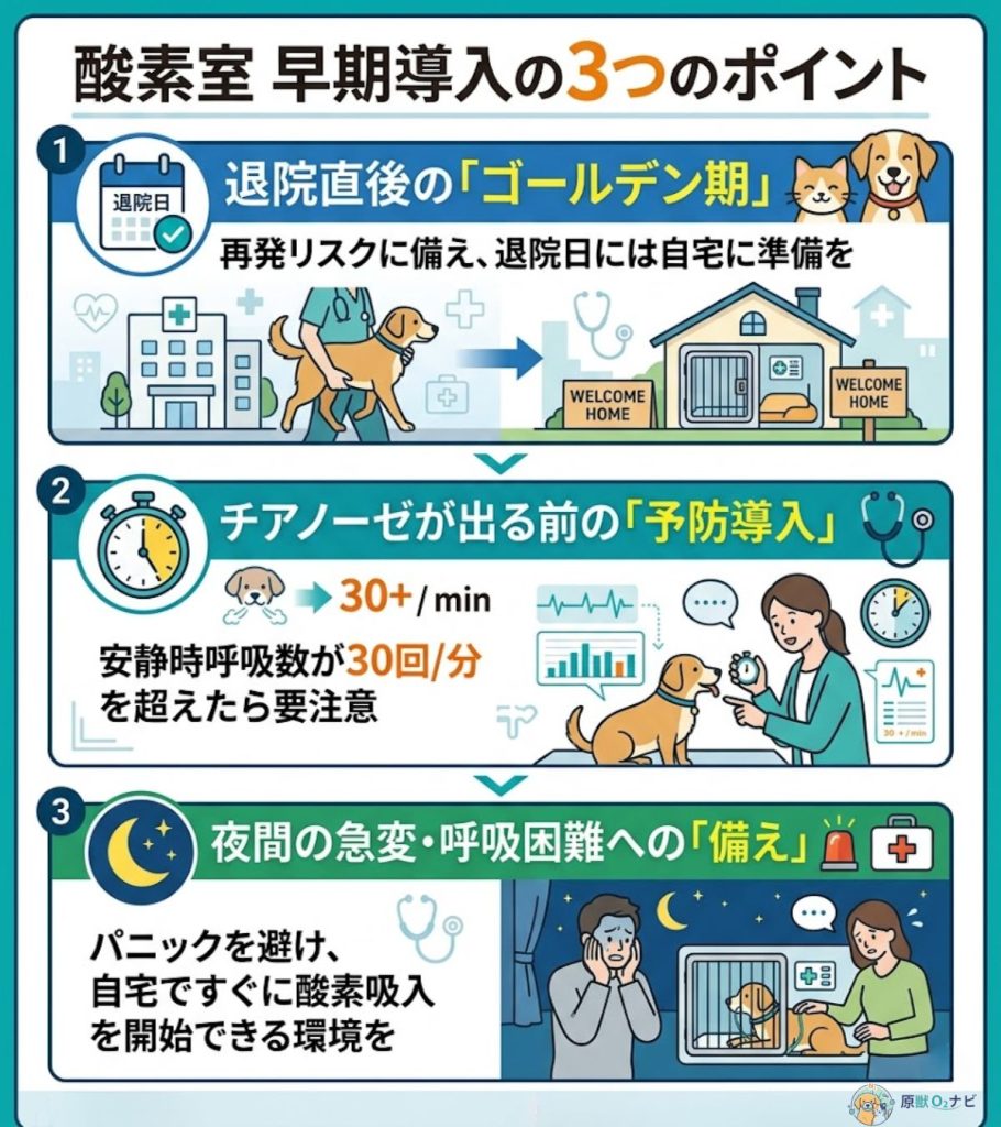 犬の酸素室の早期導入ポイントを図解。退院直後のゴールデン期、チアノーゼ前の予防、夜間の急変への備えの3点を解説