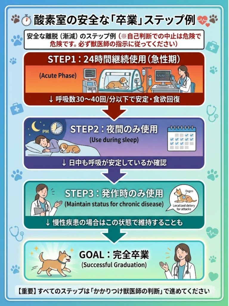 犬の酸素室の安全な卒業ステップを図解。24時間使用から夜間のみ、発作時のみへと段階的に減らし、獣医師の判断で完全卒業する流れ