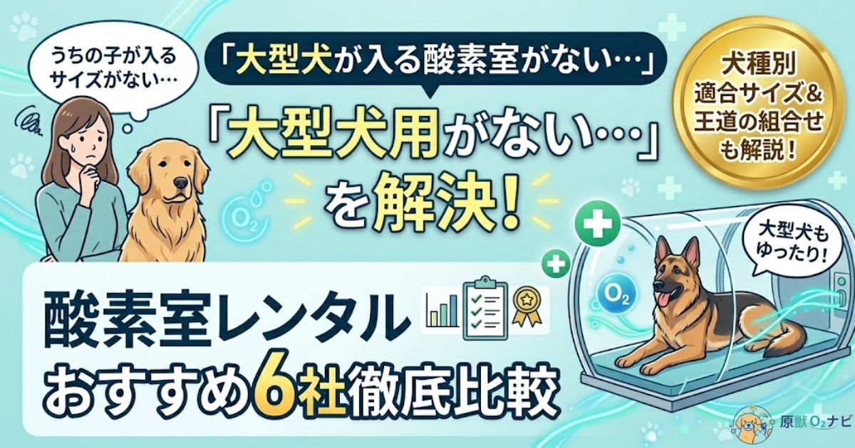 大型犬向け酸素室レンタル6社の比較記事アイキャッチ。「大型犬用がない」という悩みを解決するおすすめ業者や犬種別サイズを解説